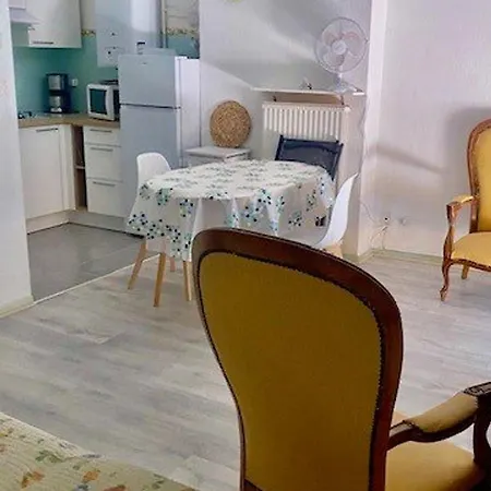 Lumineux Avec Balcon, Wi-fi, Proche Des Thermes D'amelie-les-bains - Fr-1-703-52 Amelie-les-Bains-Palalda