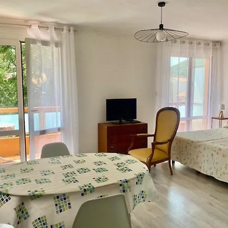 Lumineux Avec Balcon, Wi-fi, Proche Des Thermes D'amelie-les-bains - Fr-1-703-52 Apartment