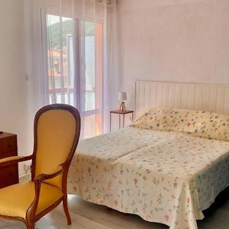 Lejlighed Lumineux Avec Balcon, Wi-fi, Proche Des Thermes D'amelie-les-bains - Fr-1-703-52
