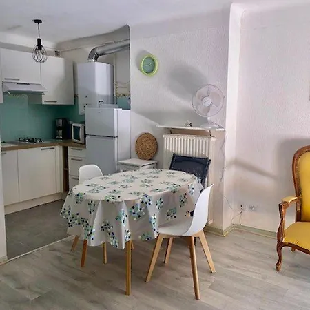 Apartment Lumineux Avec Balcon, Wi-fi, Proche Des Thermes D'amelie-les-bains - Fr-1-703-52 *