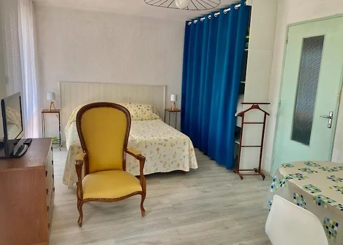 Lumineux Avec Balcon, Wi-fi, Proche Des Thermes D'amelie-les-bains - Fr-1-703-52 *