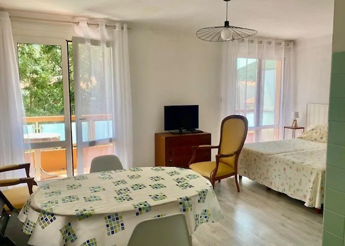 Lumineux Avec Balcon, Wi-fi, Proche Des Thermes D'amelie-les-bains - Fr-1-703-52 公寓