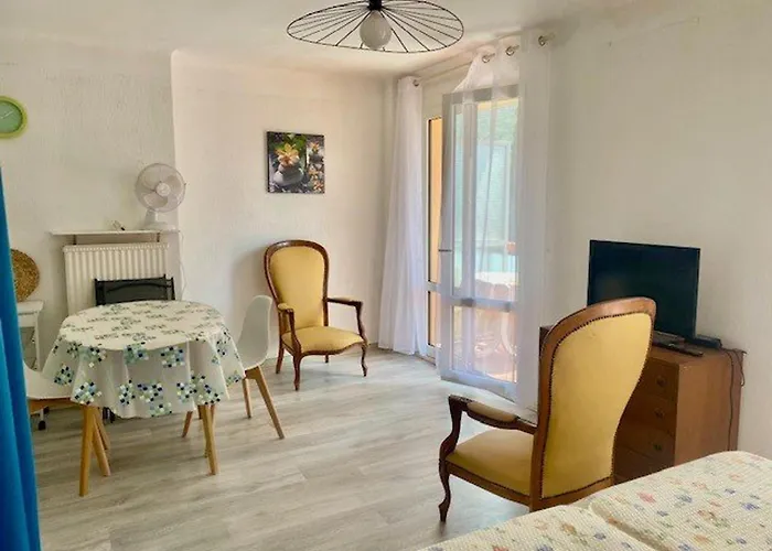 Lumineux Avec Balcon, Wi-fi, Proche Des Thermes D'amelie-les-bains - Fr-1-703-52 公寓 *