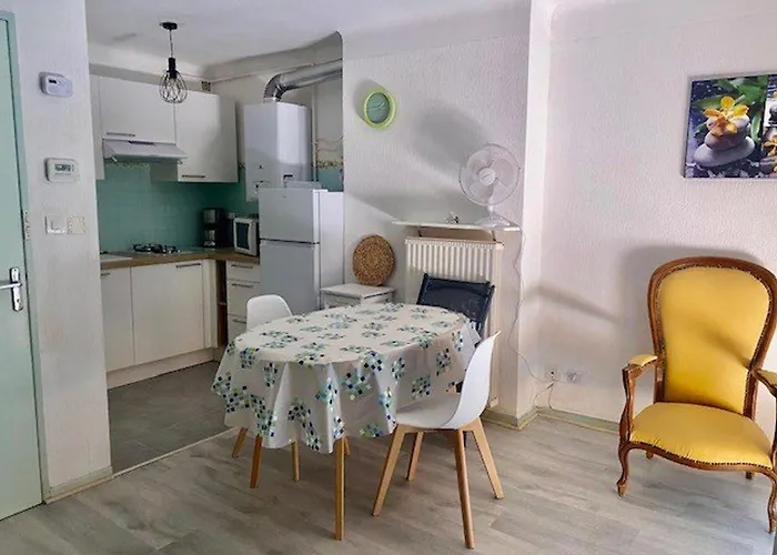 公寓 Lumineux Avec Balcon, Wi-fi, Proche Des Thermes D'amelie-les-bains - Fr-1-703-52 *